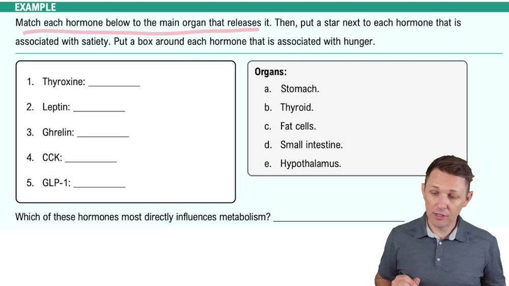 Factors That Influence Weight Example 3