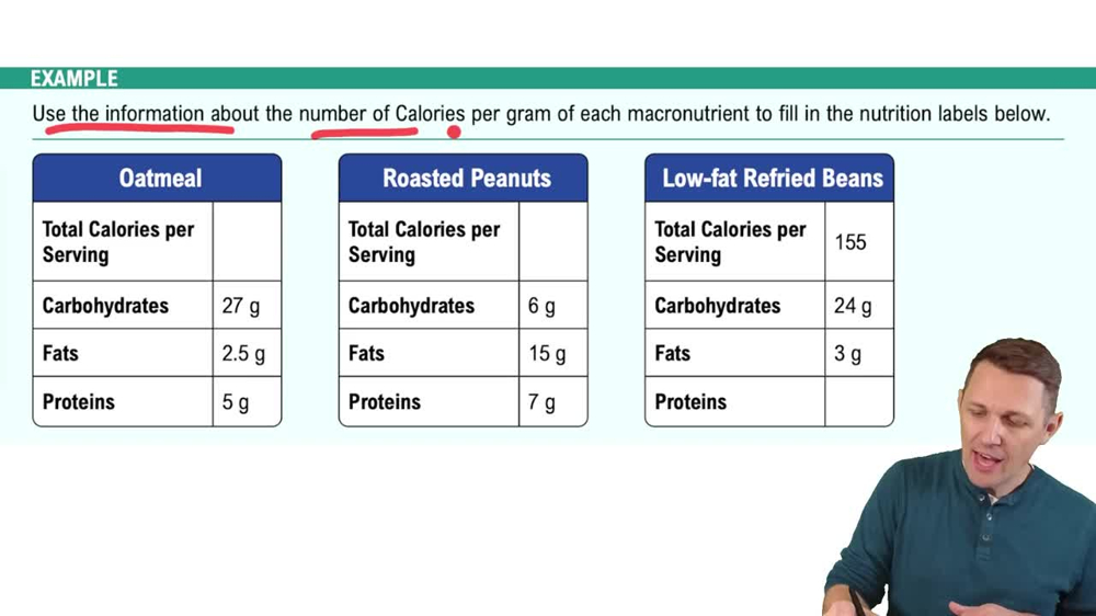 Energy in Food Example 1