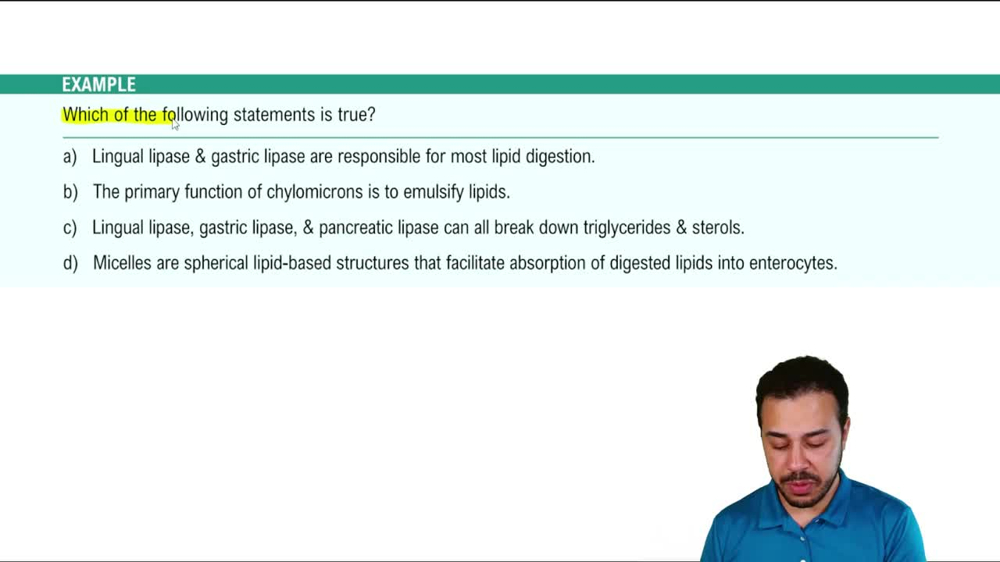 Digestion of Fats Example 1