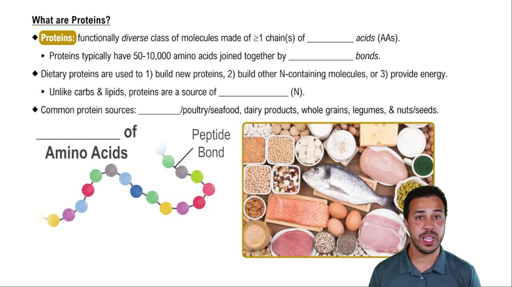 What are Proteins?