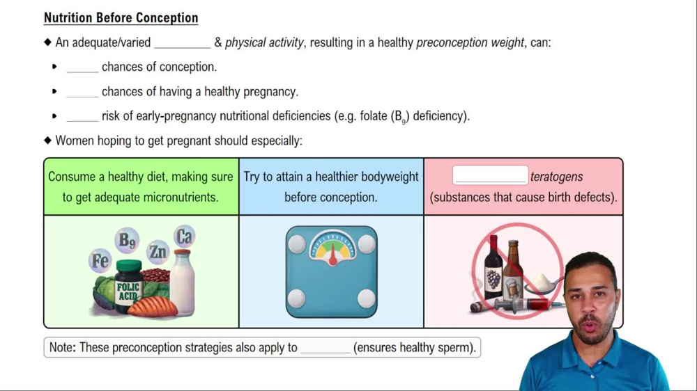 Nutrition Before Conception