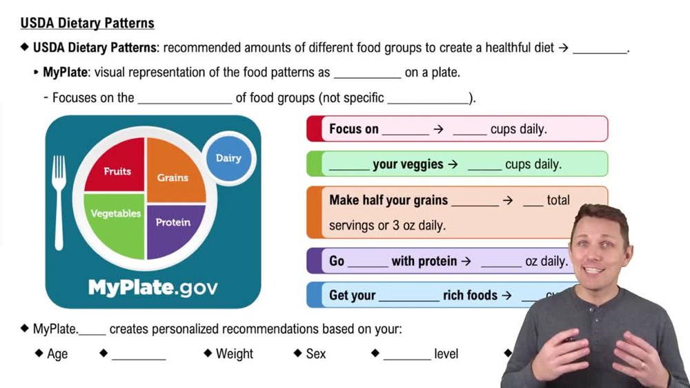 USDA Dietary Patterns
