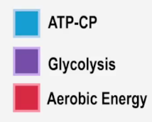 Color-coded legend for a pie chart showing ATP-CP, Glycolysis, and Aerobic Energy systems.