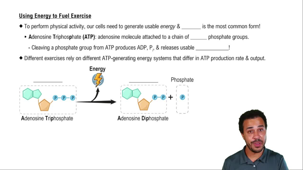 Using Energy to Fuel Exercise