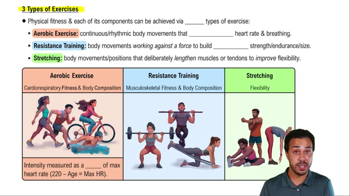 3 Types of Exercises