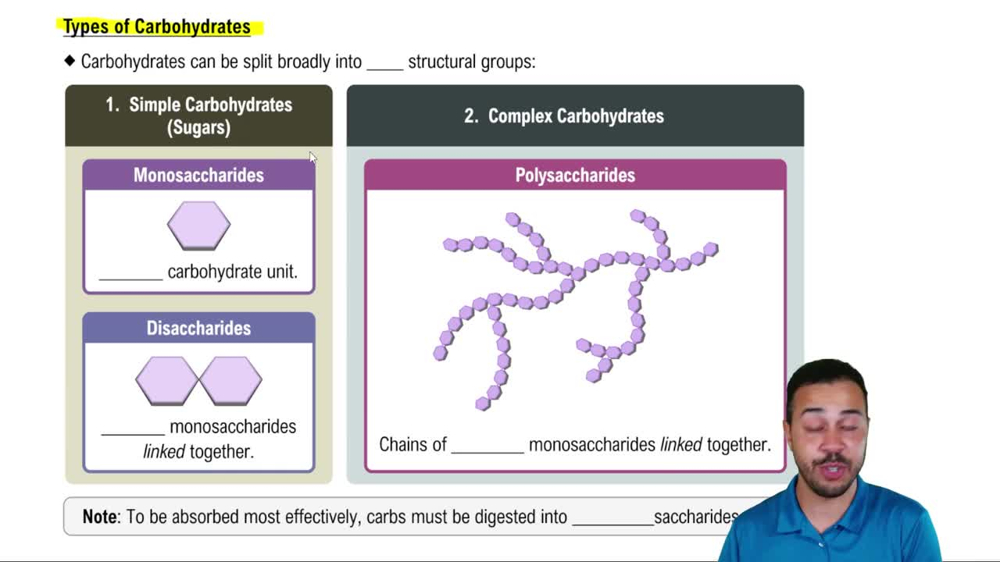 Types of Carbohydrates