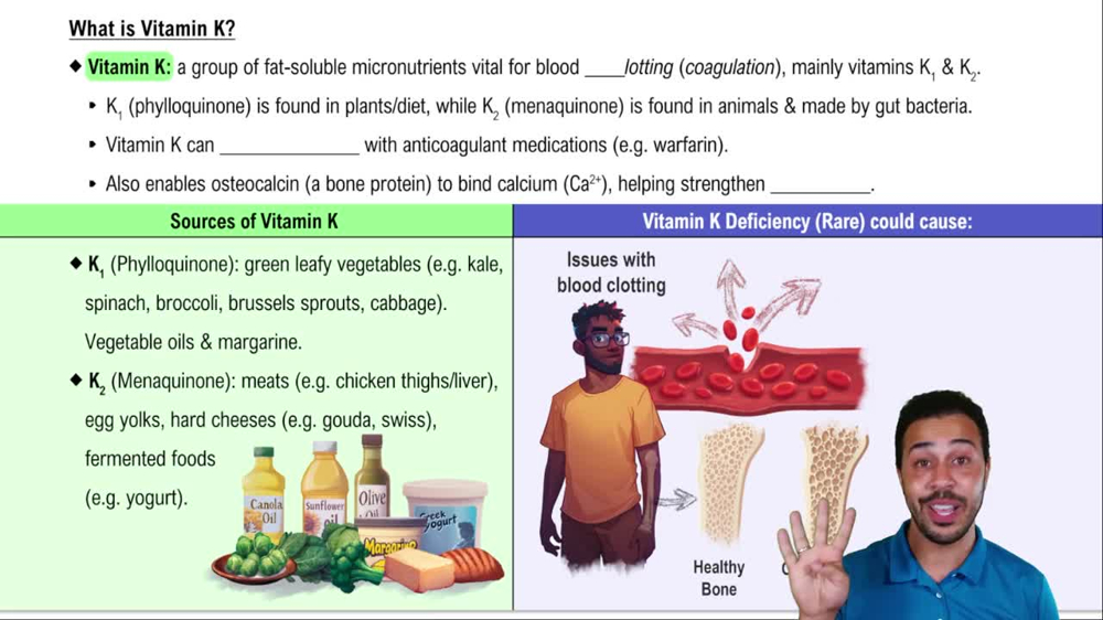 What is Vitamin K?