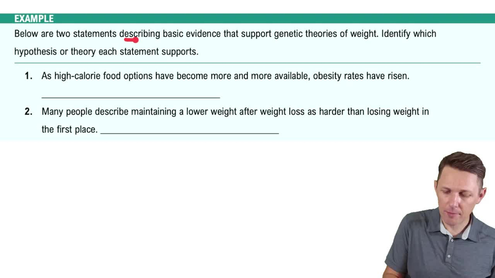 Factors That Influence Weight Example 2