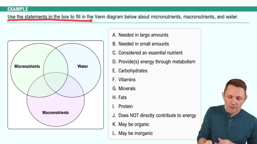Nutrients Example 1