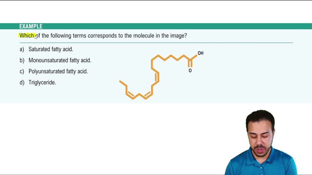 Fatty Acids Example 1