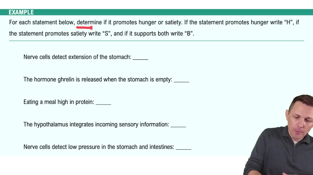 Hunger, Satiety, and Hormones Example 1