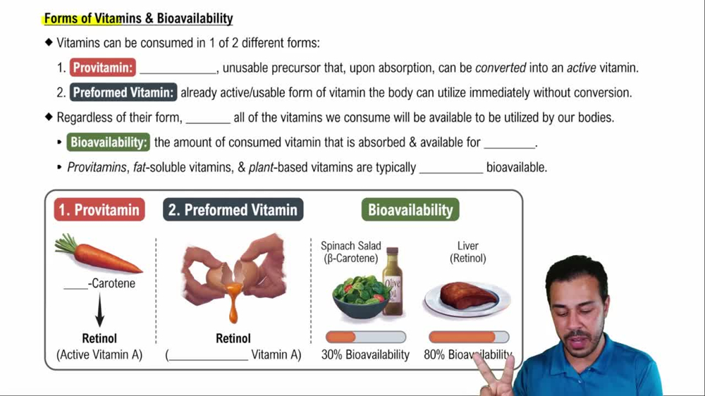 Forms of Vitamins & Bioavailability