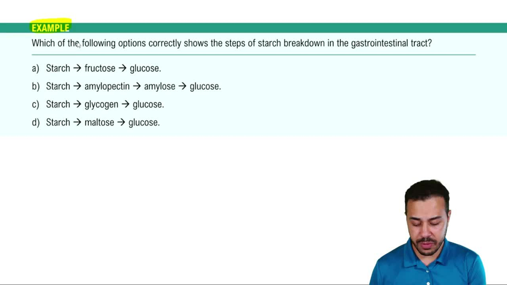 Carbohydrate Digestion Example 1
