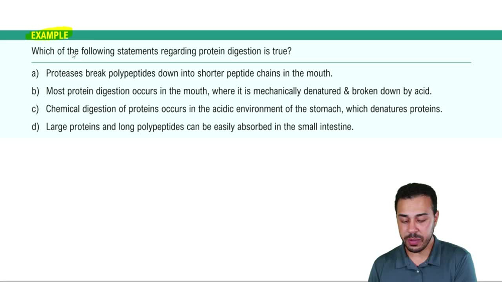 Protein Digestion Example 1