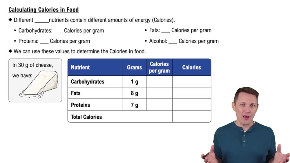 Calculating Calories in Food