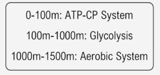 Chart showing energy systems used in a 1500-meter race: ATP-CP for 0-100m, Glycolysis for 100-1000m, Aerobic for 1000-1500m.