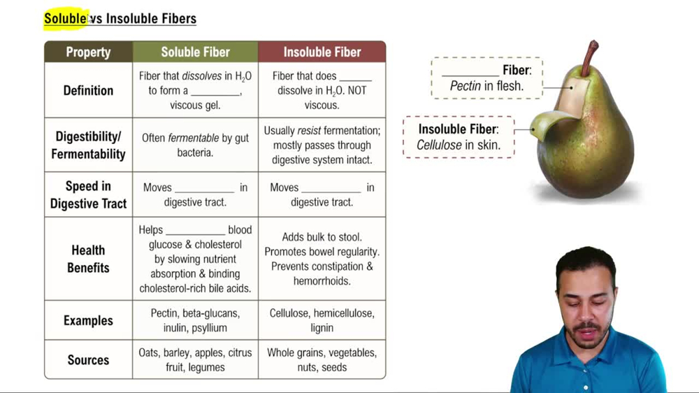 Soluble vs Insoluble Fibers