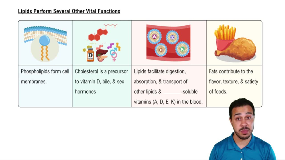 Lipids Perform Several Other Vital Functions