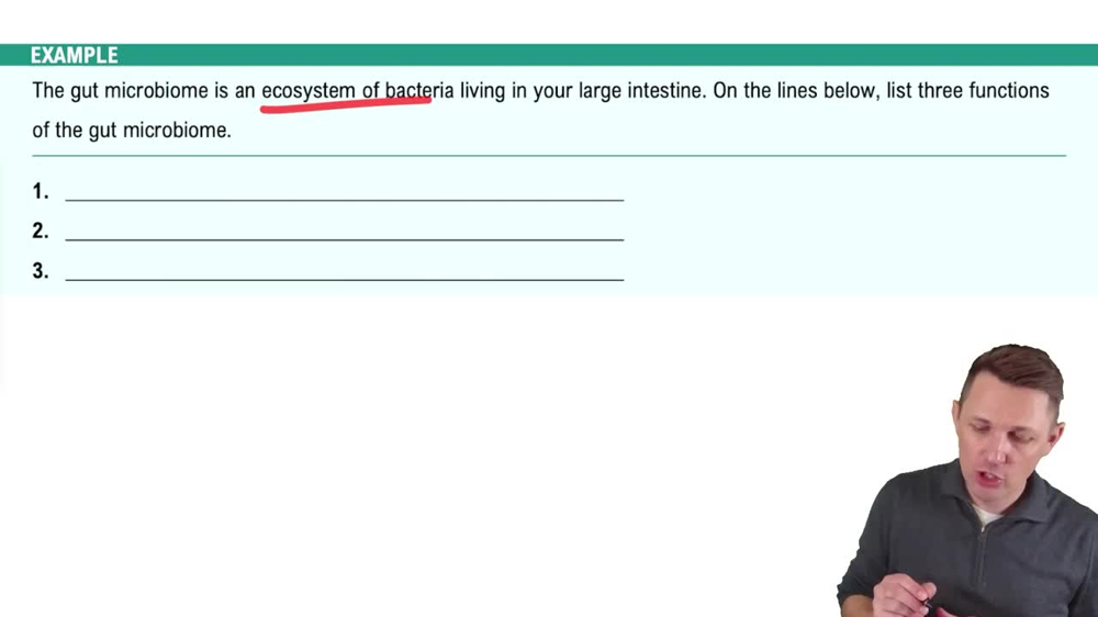 The Gut Microbiome Example 1