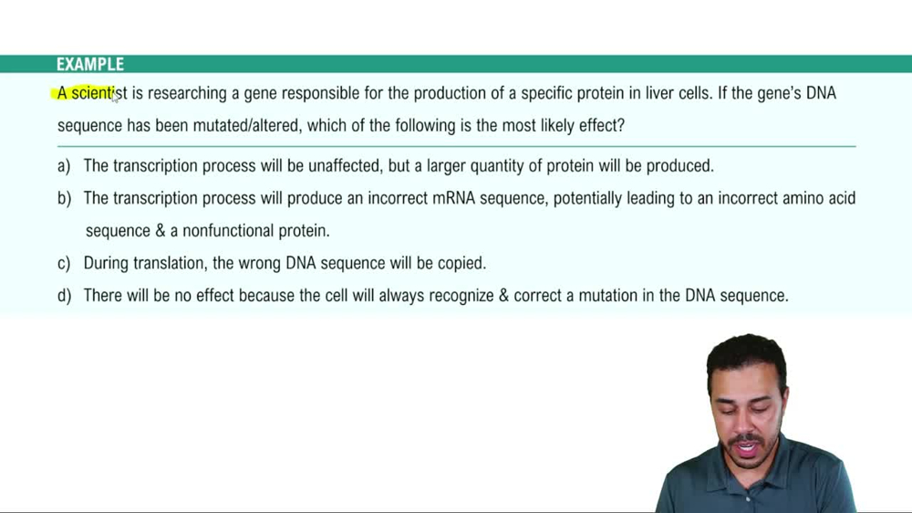 Protein Synthesis Example 1