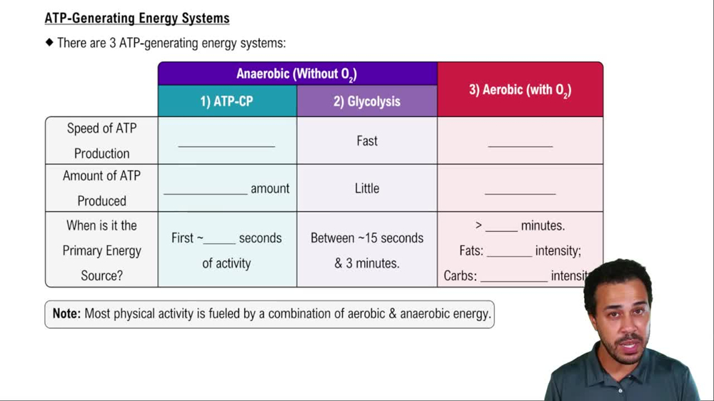ATP-Generating Energy Systems