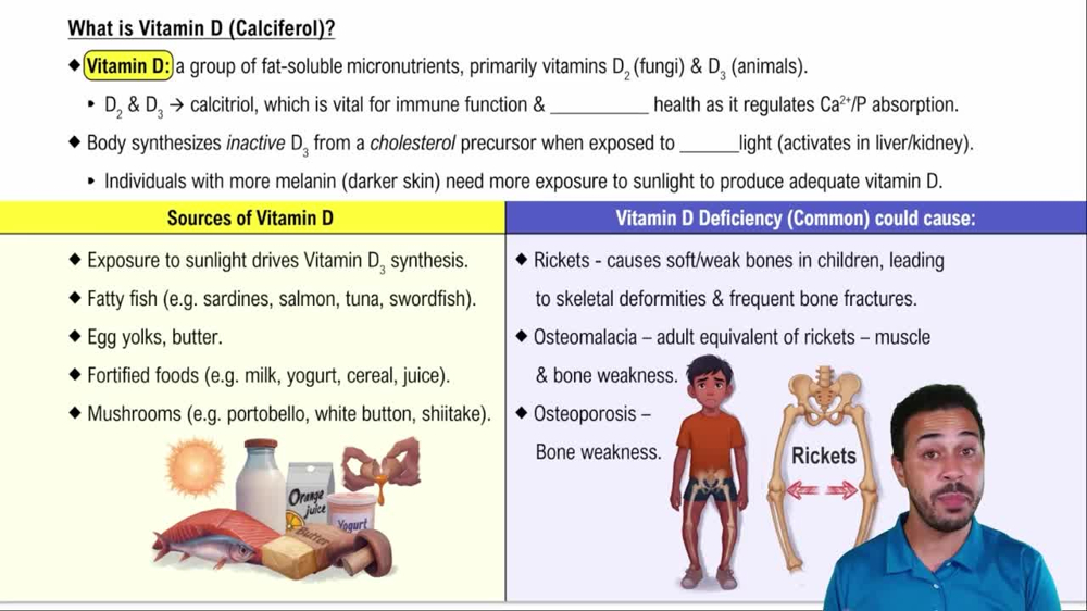 What is Vitamin D (Calciferol)