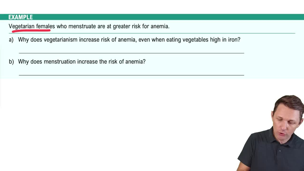 Trace Minerals: Iron and Copper Example 1