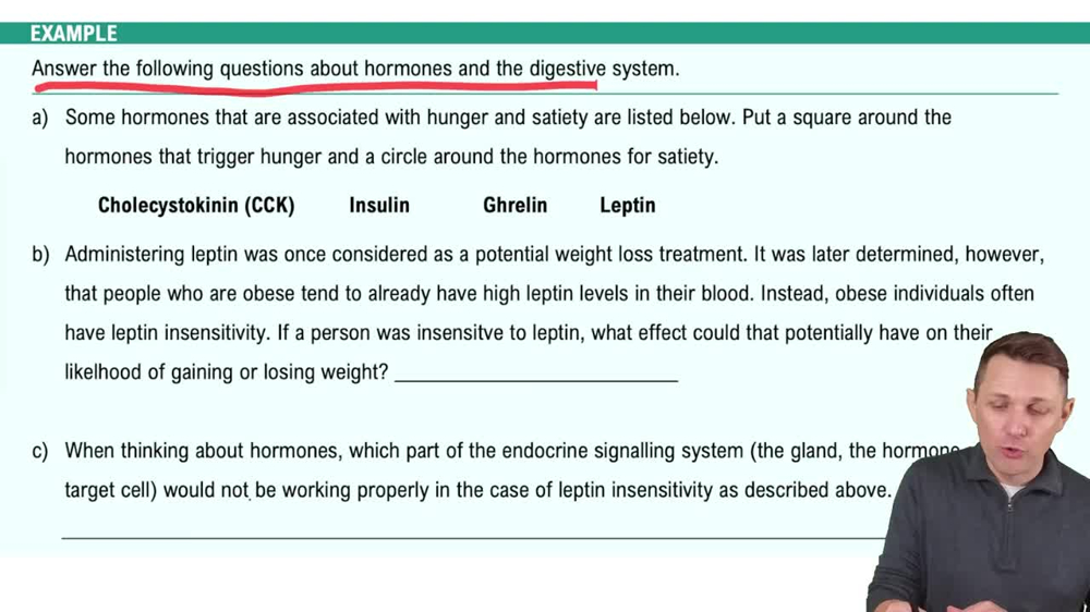 Hunger, Satiety, and Hormones Example 2