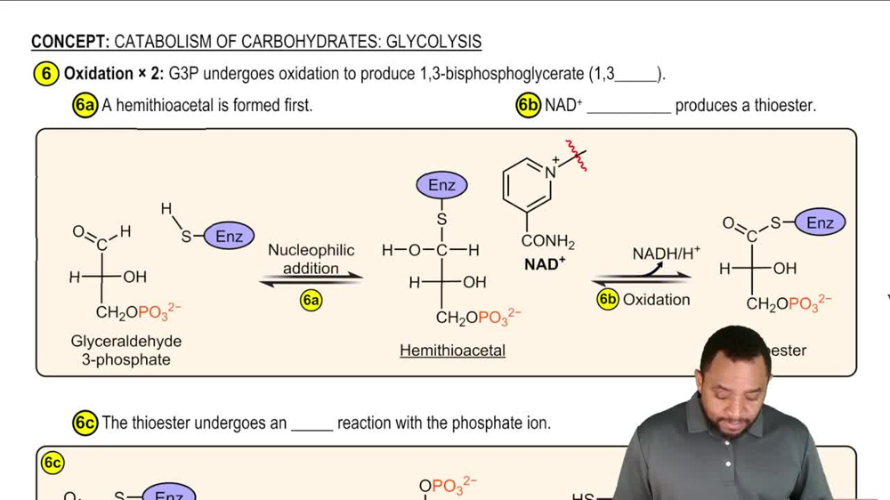 Glycolysis Reaction 6