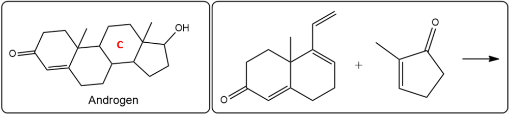 Diels-Alder reaction diagram showing Androgen C ring formation from two reactants.