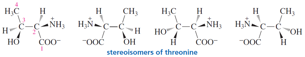 Structures of threonine stereoisomers, highlighting the naturally occurring (2S,3R)-threonine.