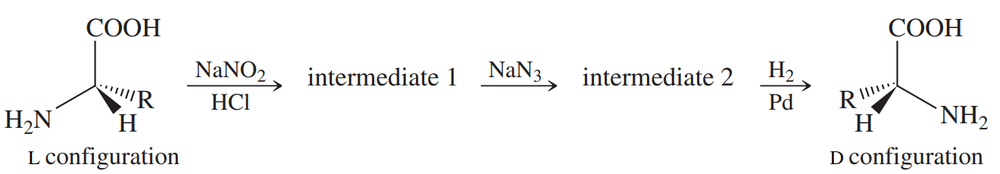 Synthetic scheme illustrating the conversion of L-amino acid to D-amino acid with labeled intermediates.