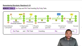 Remembering Glycolysis Concept 3