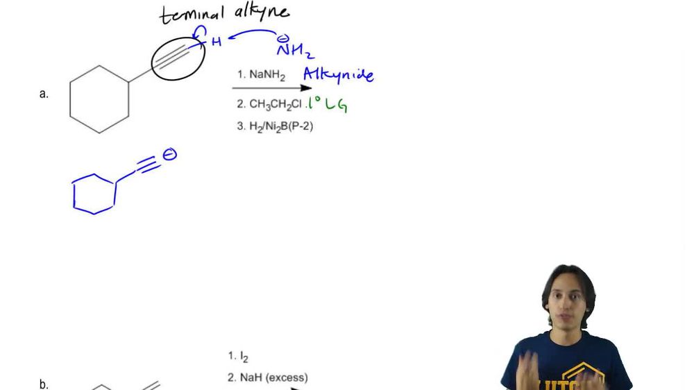 Predict the major product.