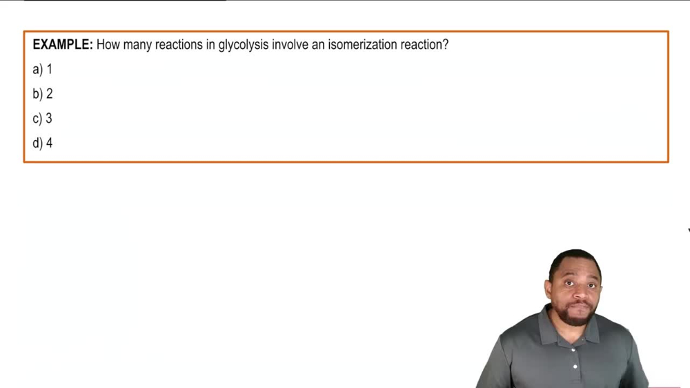 Glycolysis Summary Example 2