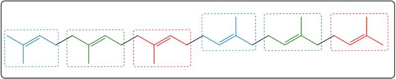 Highlighted isoprene units in squalene with colored boxes.