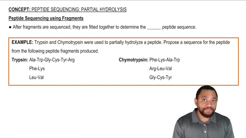 Peptide Sequencing: Partial Hydrolysis Example 2