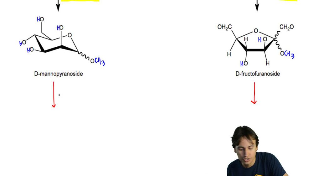 Predict the structure of the glycoside products
