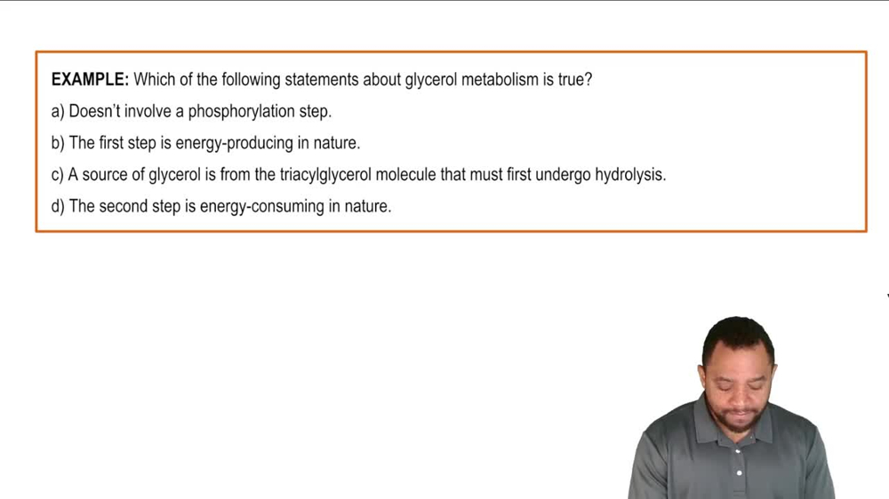 Glycerol Metabolism Example 1