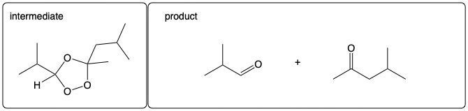Intermediate structure and products of ozonolysis reaction with carbonyl compounds.