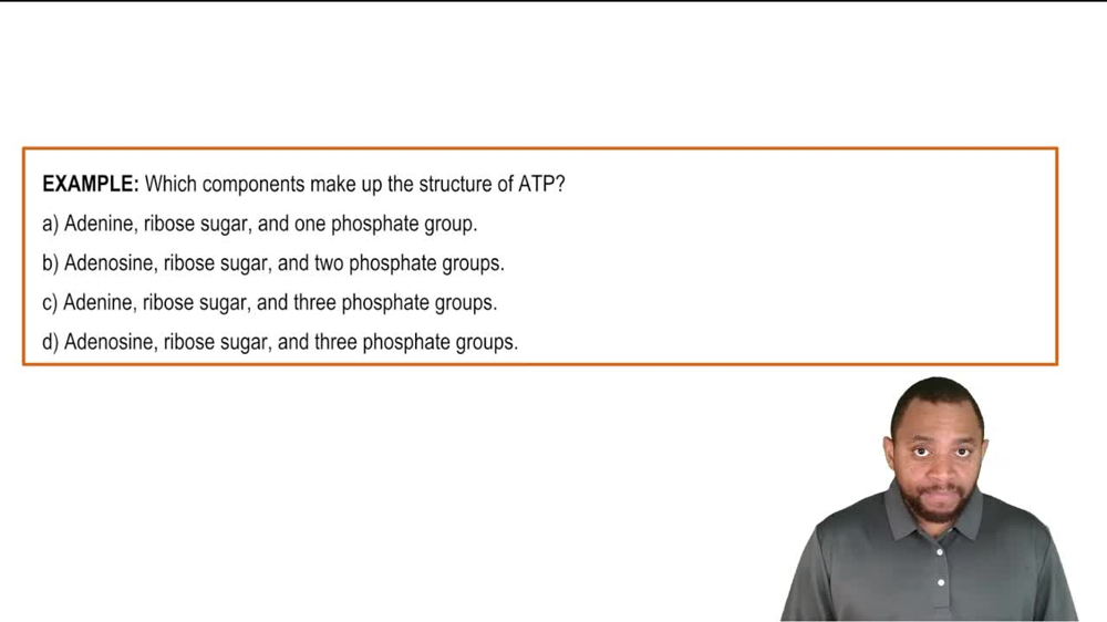 Adenosine Triphosphate Example 1
