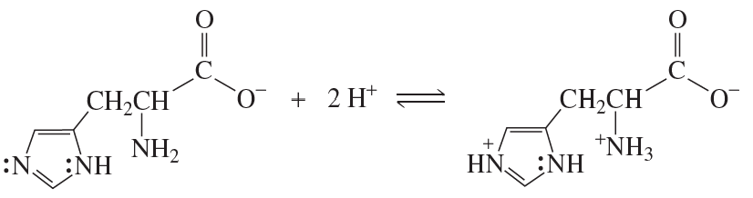 Chemical reaction diagram illustrating the protonation of imidazole in histidine, showing nitrogen accepting a proton.