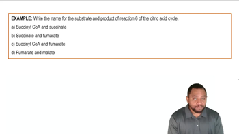 Remembering Citric Acid Cycle Example 4
