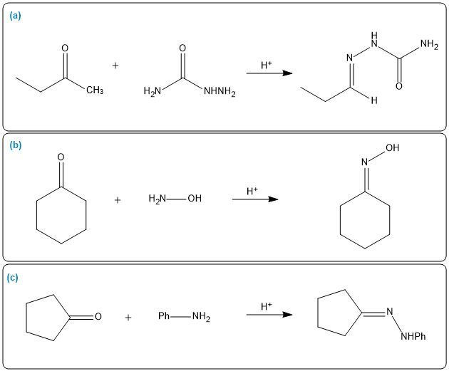 Answer Option B