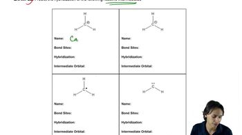 Introduction to the reactive intermediates.