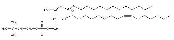 sphingomyelin