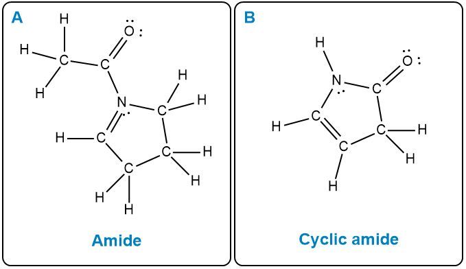 Answer Option C