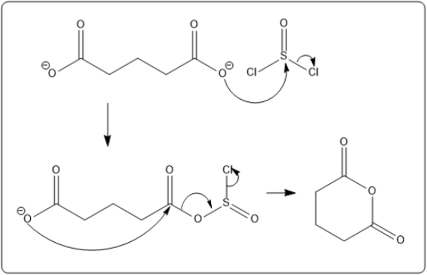 Detailed reaction mechanism of pentanedioate ion with thionyl chloride forming an anhydride.