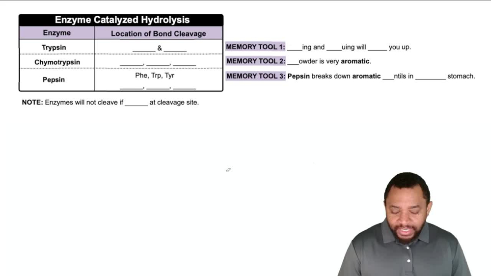 Peptide Sequencing: Partial Hydrolysis Concept 2