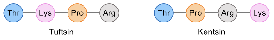 Comparison of peptide sequences Tuftsine and Kentsin for identical primary structure.